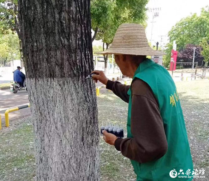 QQ截图20240510084008.png