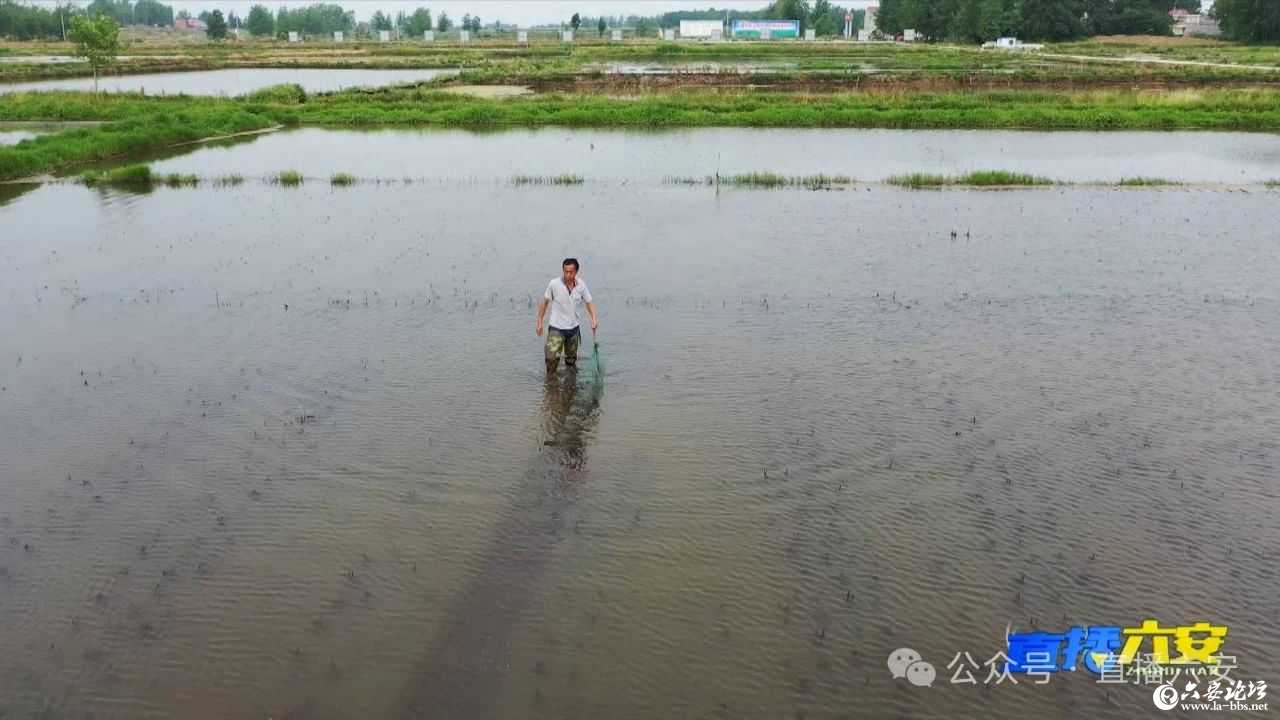 微信图片_20240516083028.jpg