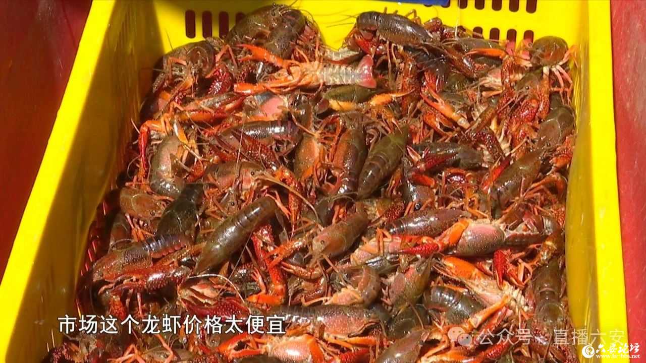微信图片_20240516083032.jpg