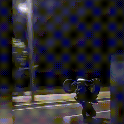 微信图片_20240530093314.gif