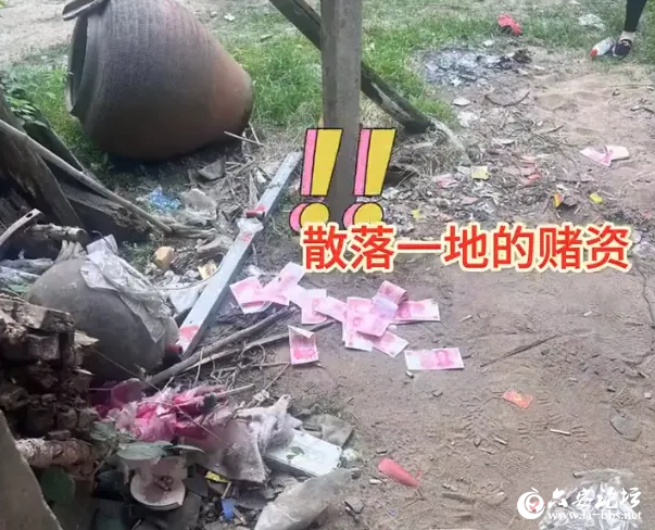 QQ截图20240618085007.png