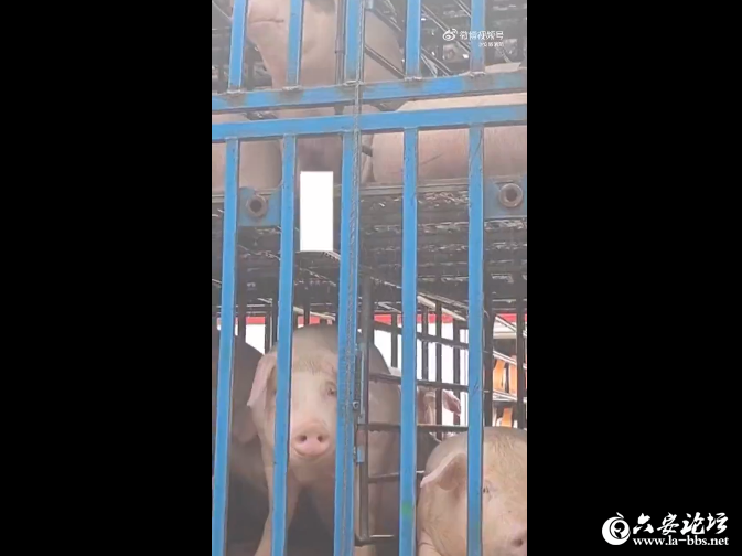 QQ截图20240703090738.png