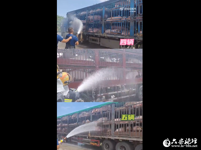 QQ截图20240703090746.png