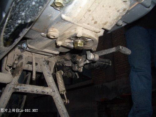v9Md1mcM.jpg