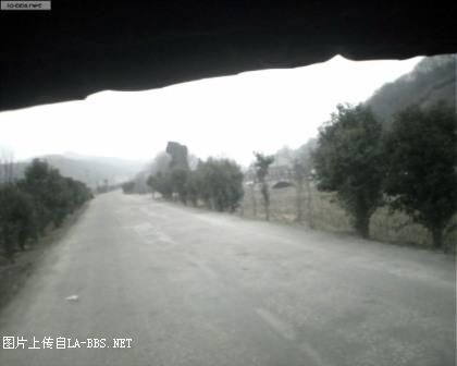 BZS37NUU.jpg