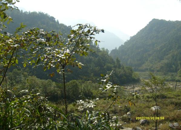 美丽风景.jpg