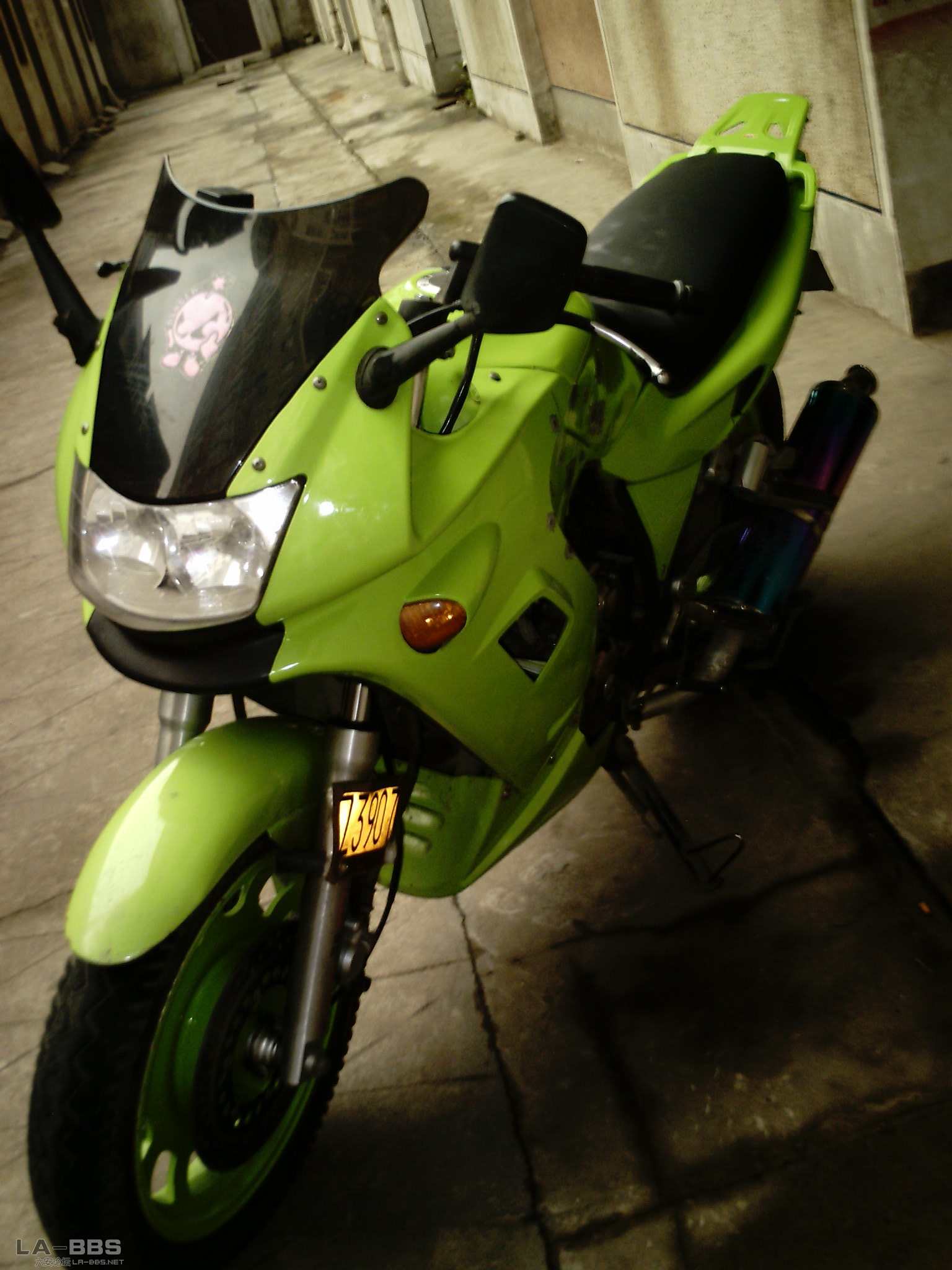 SUNP0249.JPG