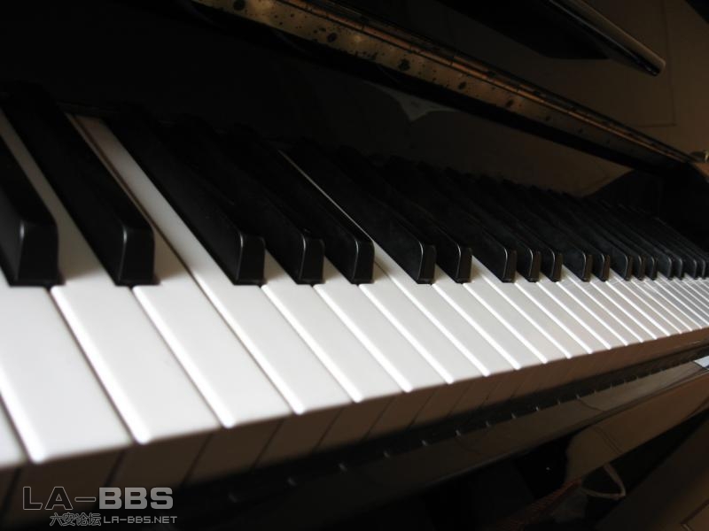 f1bee68971f8268da5c272b9.jpg
