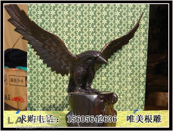 雄鹰.jpg