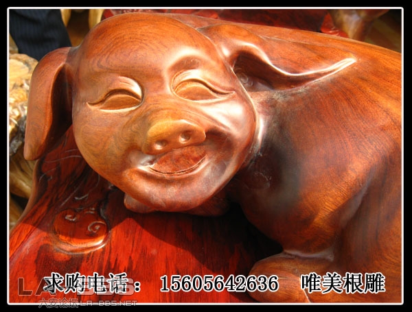 发财猪.jpg