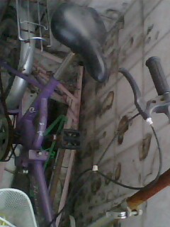 IMG0020A.jpg