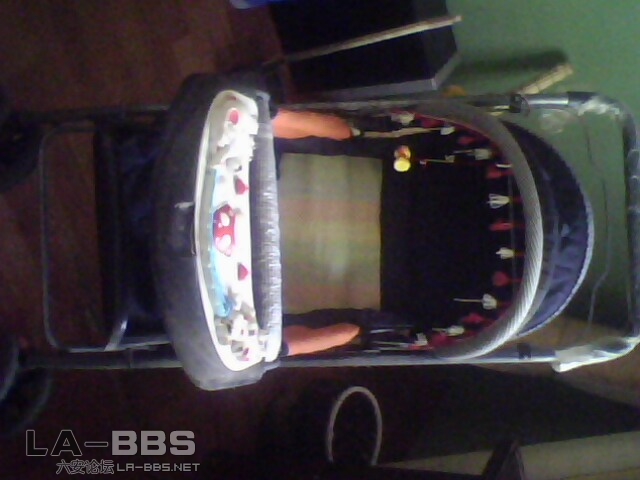 IMG0004A.jpg