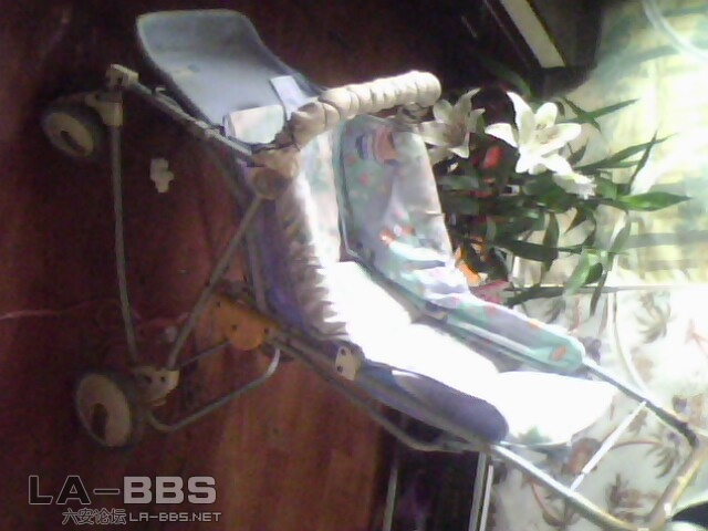 IMG0010A.jpg