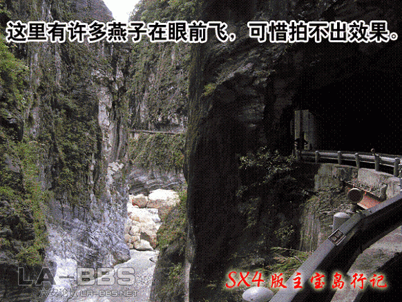 9.gif