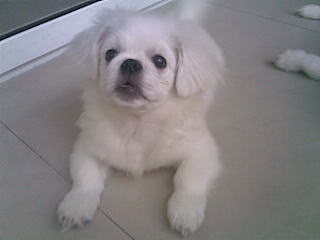 20090625(001).jpg