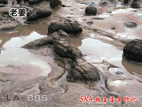 12.gif