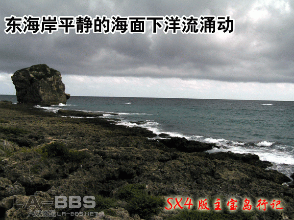 6.gif