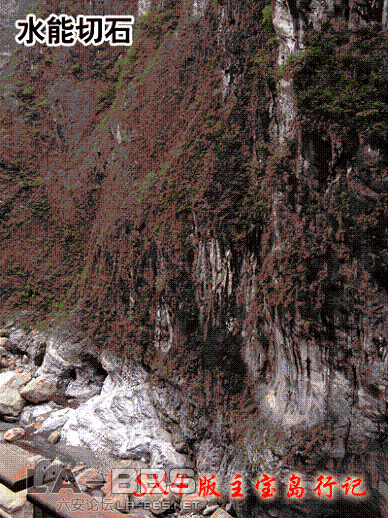 7.gif