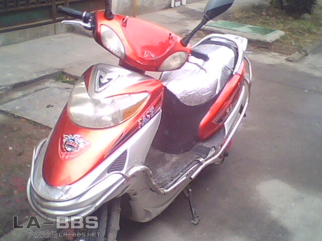 IMG2581A.jpg