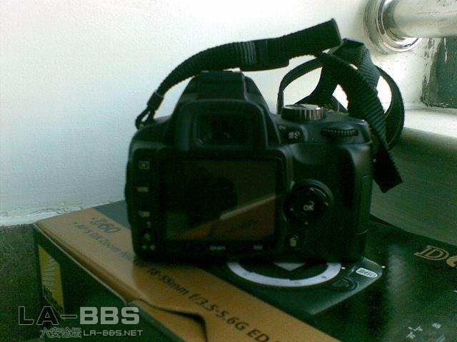 _13047688.jpg