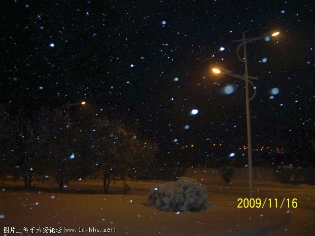 100_2868.JPG