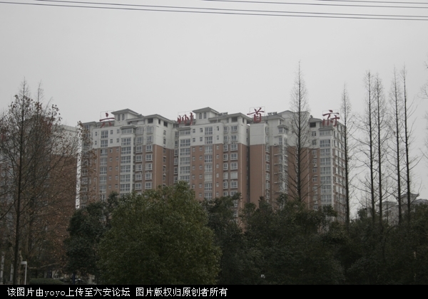 _MG_0077.JPG