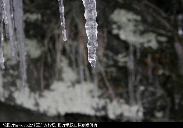 _MG_0089.JPG