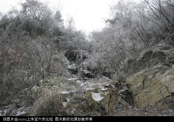 _MG_0090.JPG