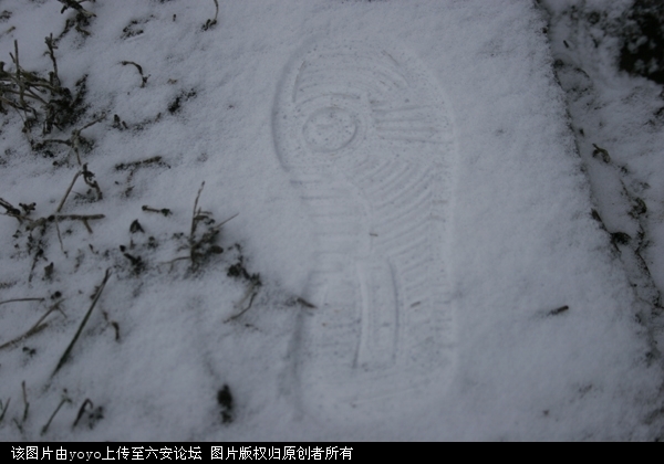 _MG_0093.JPG