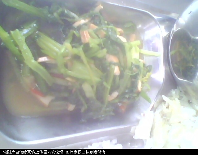 蔬菜一