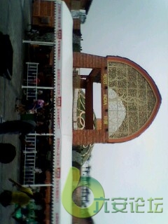 IMG0837A.jpg