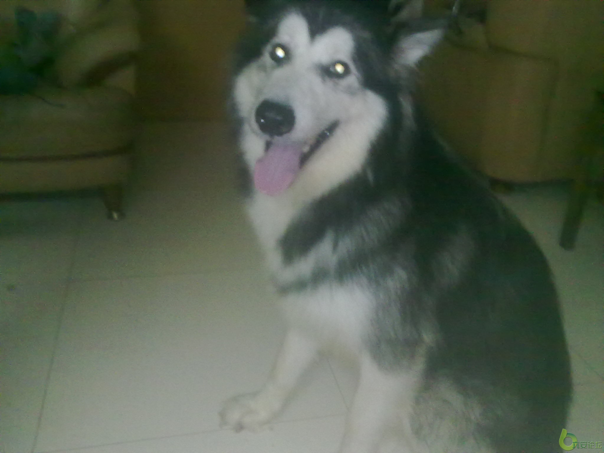 20100730259.jpg