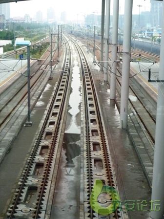 P1000689.JPG